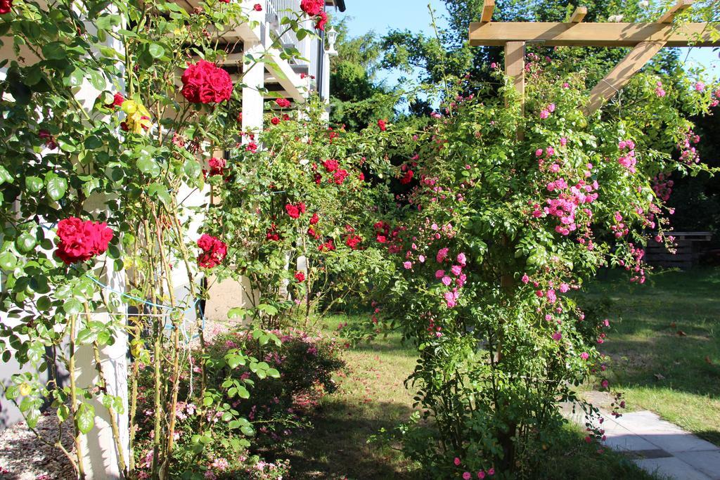 Beddingestrands Pensionat Rosengarden Skegrie ภายนอก รูปภาพ
